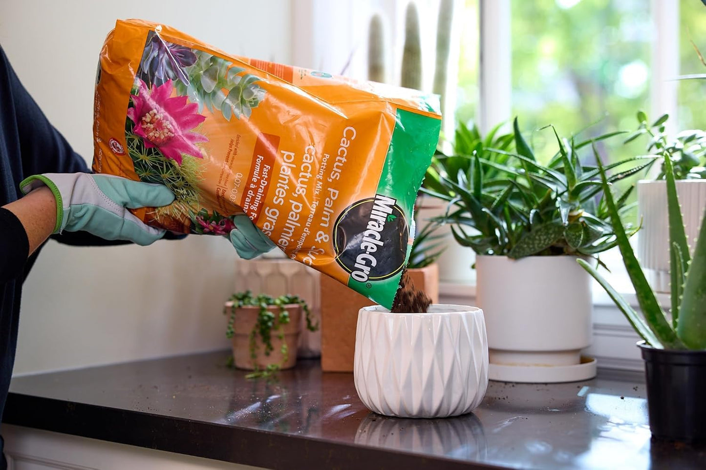 Miracle-Gro Cactus Palm & Succulant Mix 8.8L, 2-Pack | Fast-Draining Soil for Cacti, Palms & Succulents | Feeds 6 Months - Available at All In One Marketplace Canada