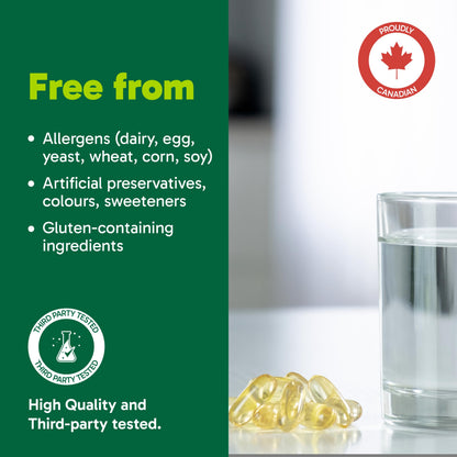 Organika Extra Strength Omega-3 Fish Oil 1414mg – High DHA (330mg) and EPA (660mg) Formula for Cognitive, Brain & Heart Health – No Fishy Aftertaste, Sustainably Sourced – 60 Softgels - Available at All In One Marketplace Canada