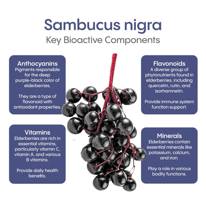 HydraLyte Plus Immunity - Electrolytes + Vitamin C Powder + Elderberry (Sambucus Nigra 35:1 Concentrated Black Elderberry Powder) + Zinc - Daily Hydration Powder With Immune Support for Ages 19+