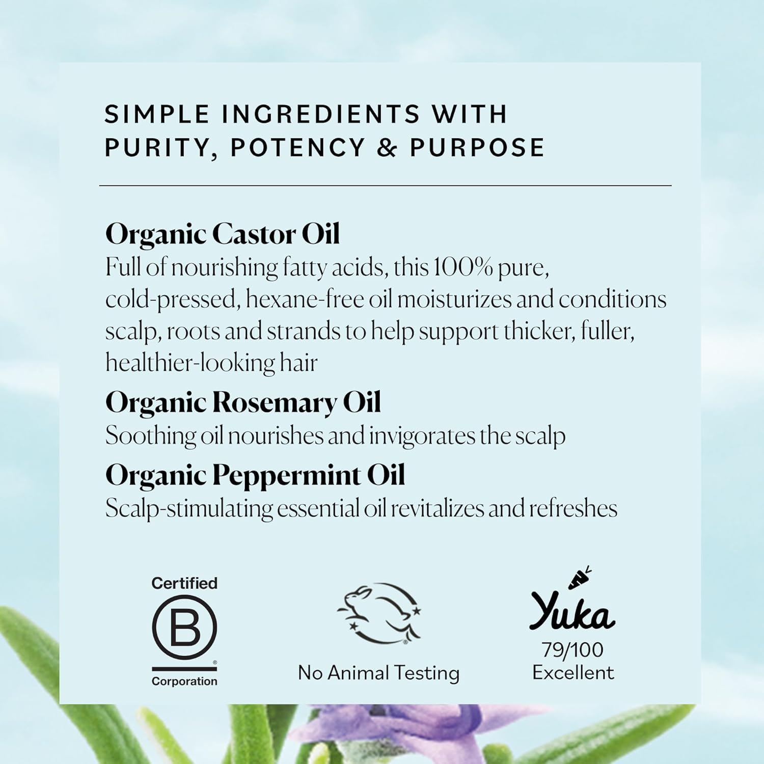 Sky Organics USDA Organic Castor Oil and Rosemary Oil, Strengthening Hair Oil Blend, Pure & Potent, Hexane-Free, Invigorates Scalp, Supports Fuller-Looking Hair, 6 fl oz - Available at All In One Marketplace Canada