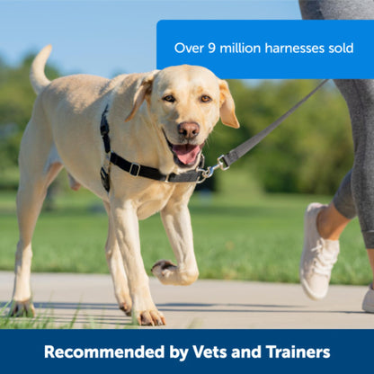 PetSafe Easy Walk Harness, No Pull Harness for Dogs, Adjustable Harness with Included Matching Lead, Black, Large 🍁 All In One Marketplace Canada