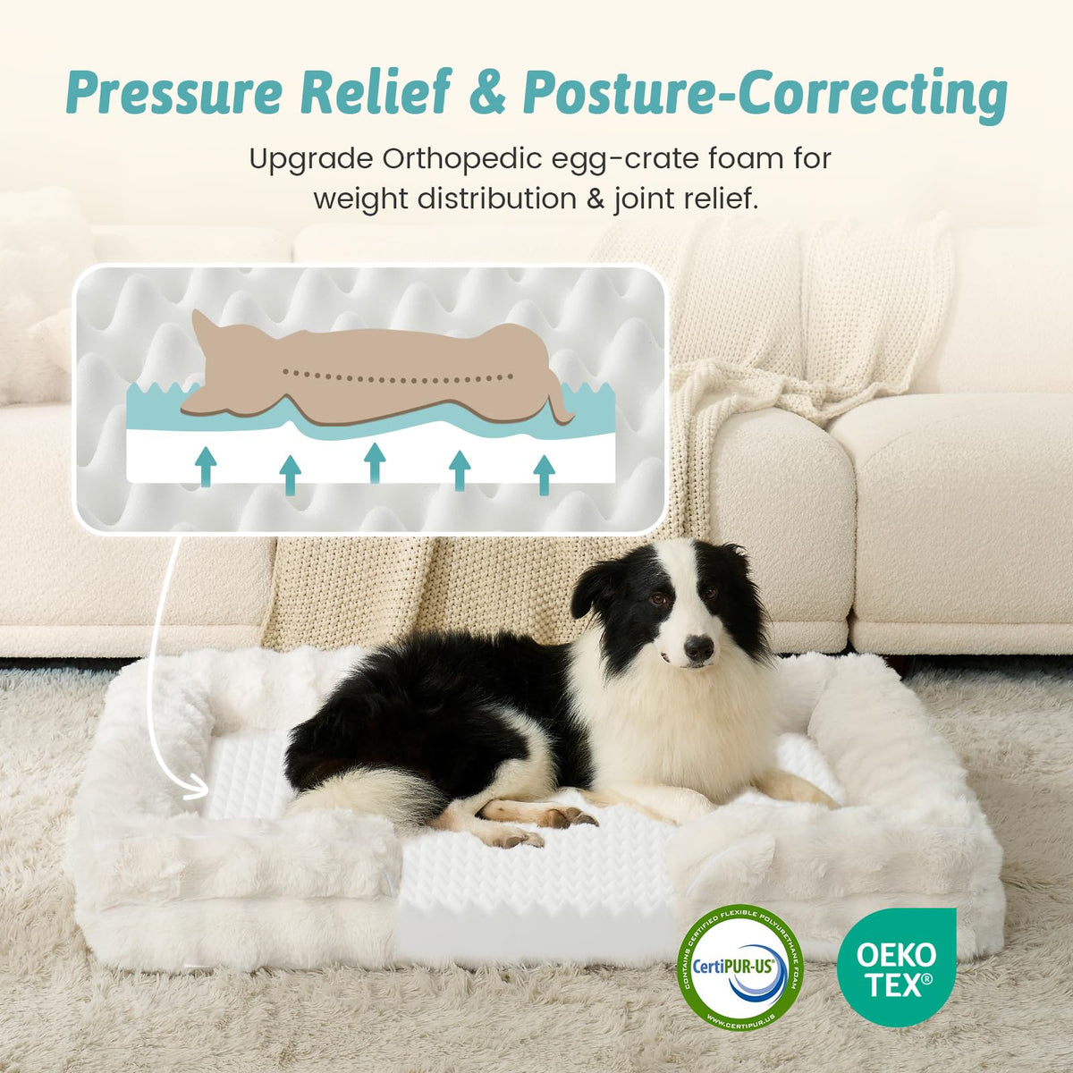 COZY KISS Warm Orthopedic Extra Large Dog Sofa Bed, XL 112x81x18 cm, Beige 🍁 All In One Marketplace Canada