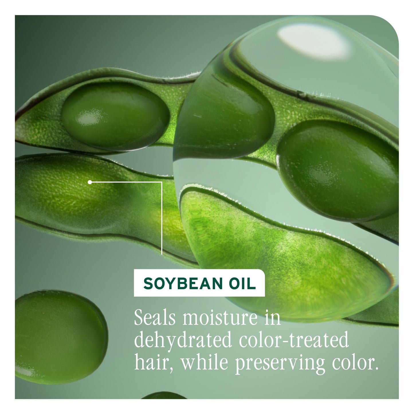 Biolage ColorLast Conditioner for Color-Treated Hair BIOLAGE