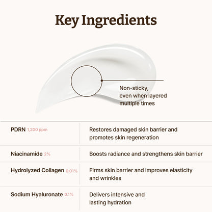 Dr. Reju-All Advanced PDRN Rejuvenating Cream Max – 99% Pure Salmon DNA Gel Type Face Moisturizer – Optimal 1200ppm for Glass Skin & Plumping – Korean Pharmacy Anti-Aging Skin Care Face Cream - 60ml
