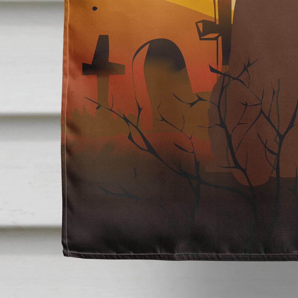 Drapeau Caroline's Treasures BB4329CHF Épagneul d'eau irlandais pour Halloween, toile, taille maison, grand, multicolore