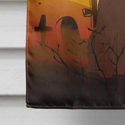 Drapeau Caroline's Treasures BB4329CHF Épagneul d'eau irlandais pour Halloween, toile, taille maison, grand, multicolore