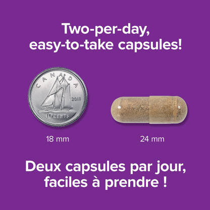 Webber Naturals Maca for Men, 60 Capsules, Contains Organic Maca & Testofen Fenugreek, Men's Health Support, Vegan - Available at All In One Marketplace Canada