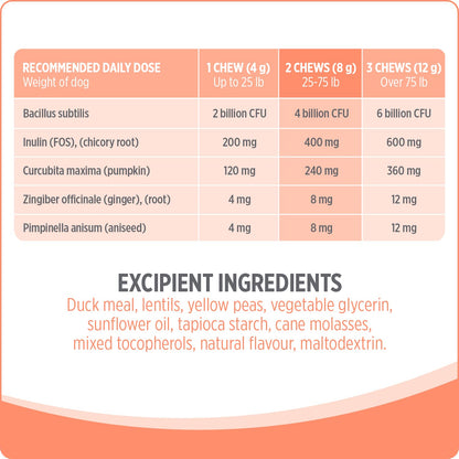 Nutrience Care® Probiotic+ Dog Supplement, 100 Soft Chews, 400 g Nutrience