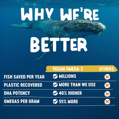 Freshfield Vegan Omega 3, Algae (Algal) Oil, Fish Oil Free Company, Third Party Tested, Carrageenan Free, DHA Supplement w/DPA, Plant Based Omega. Supports Heart, Brain, Joint Health - Available at All In One Marketplace Canada