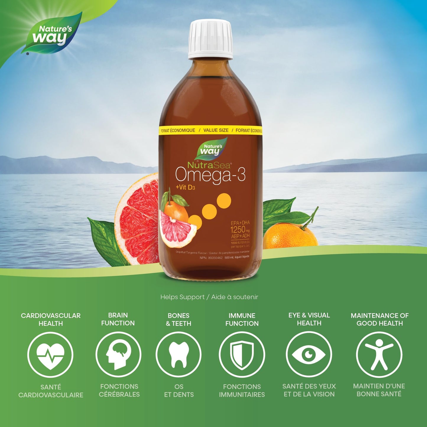 Nature's Way NutraSea Omega 3 + Vitamin D Fish Oil Liquid Supplement – Grapefruit Tangerine Flavour – Heart, Brain, Bone & Immune Support – EPA & DHA + 1000IU D3, 500 mL - Available at All In One Marketplace Canada