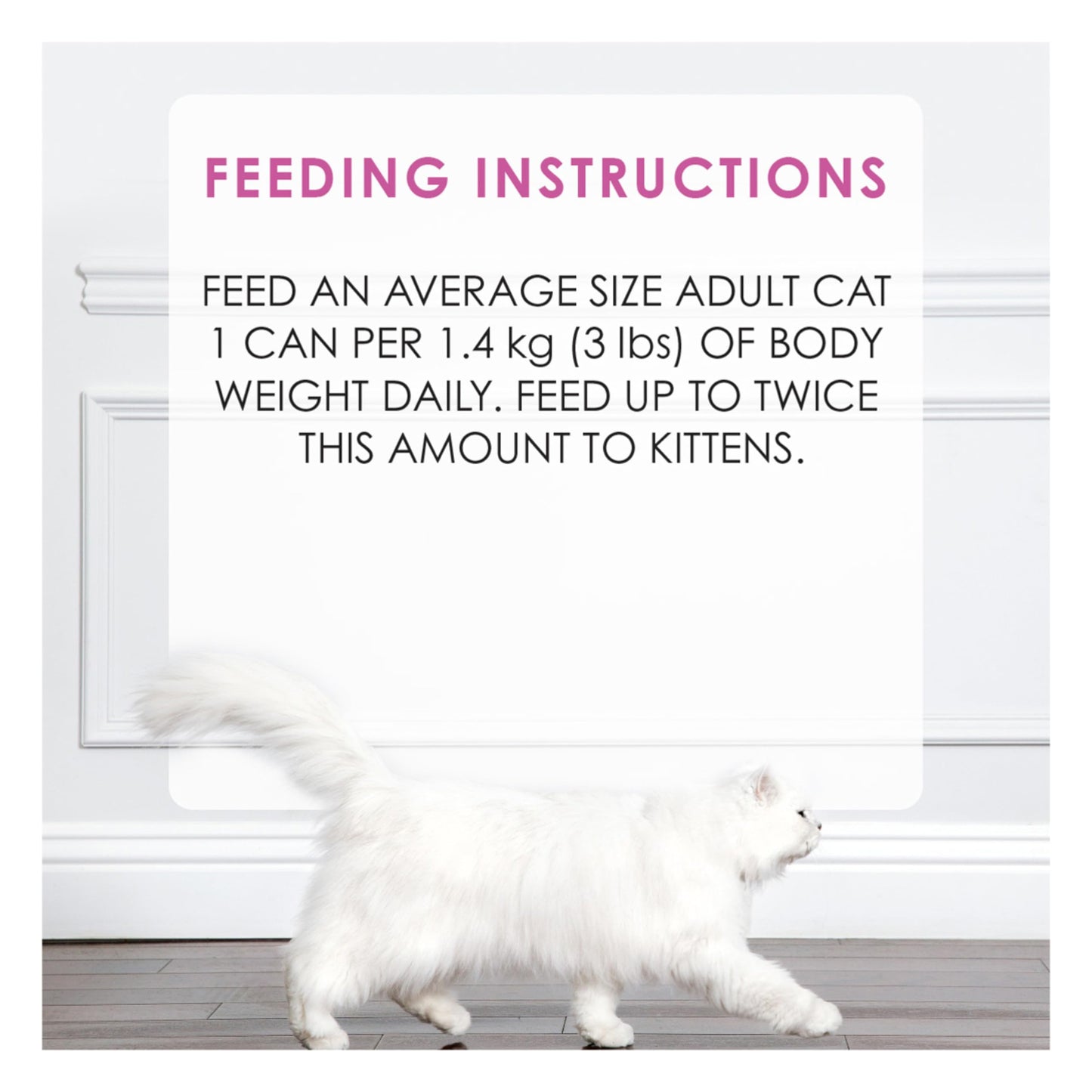 Fancy Feast Gravy Lovers Pâté Wet Cat Food, Chicken in Gravy 85g (24 Pack) Fancy Feast