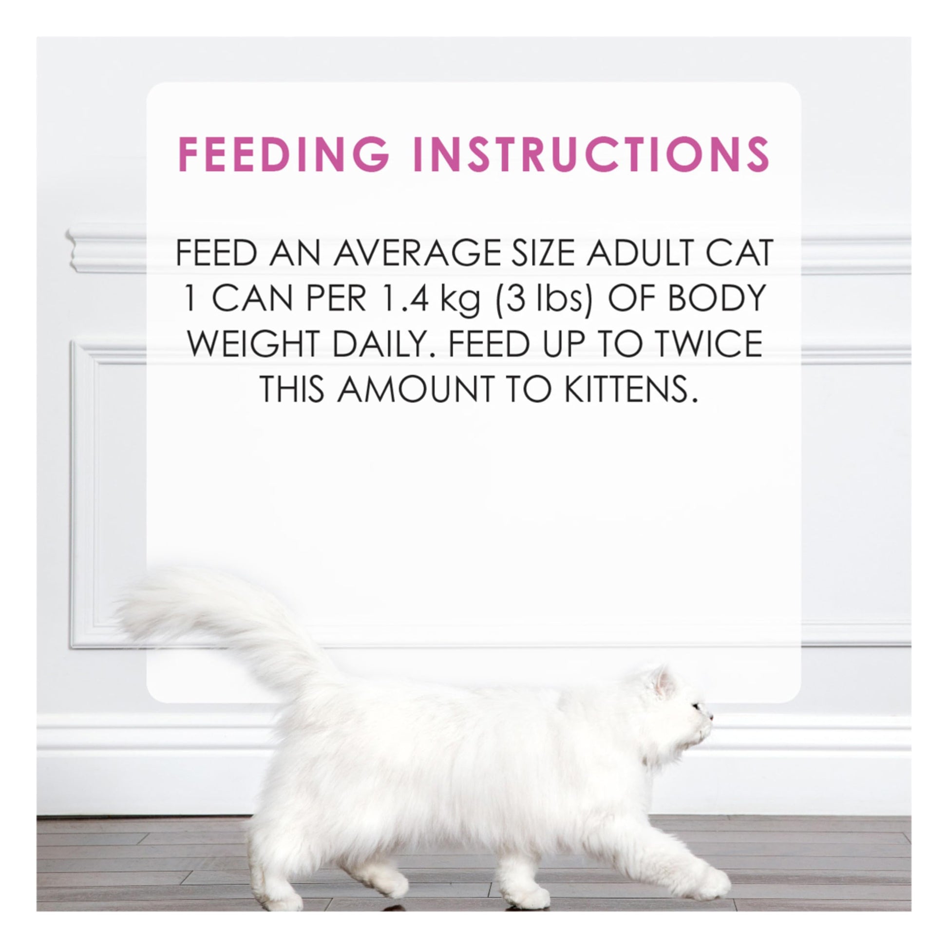 Fancy Feast Gravy Lovers Pâté Wet Cat Food, Chicken in Gravy 85g (24 Pack) Fancy Feast