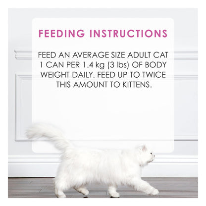 Fancy Feast Gravy Lovers Pâté Wet Cat Food, Chicken in Gravy 85g (24 Pack) Fancy Feast