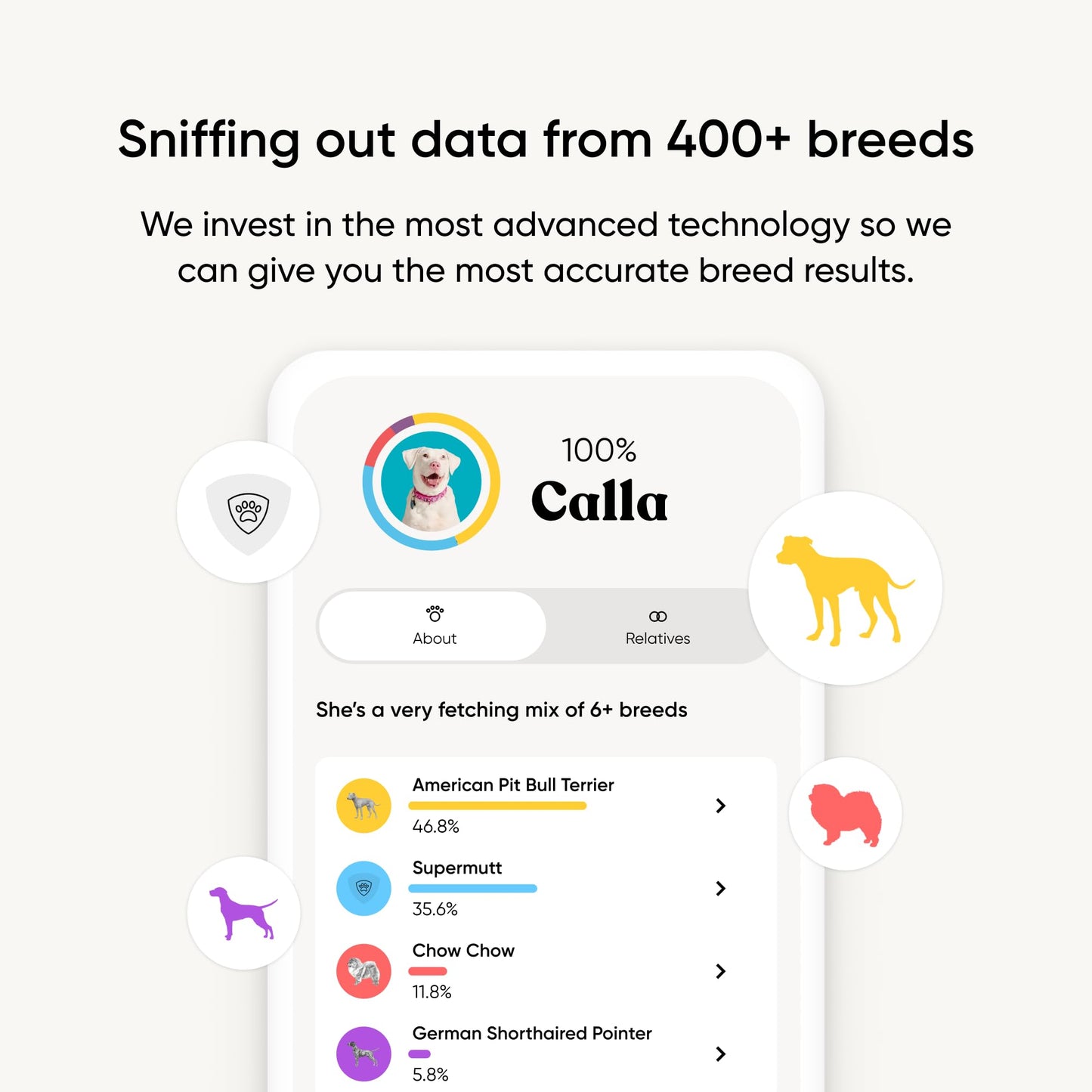 Embark Breed Identification Kit Most Accurate Dog DNA Test Test 350+ Dog Breeds Breed ID Kit with Ancestry & Family Tree - Available at All In One Marketplace Canada