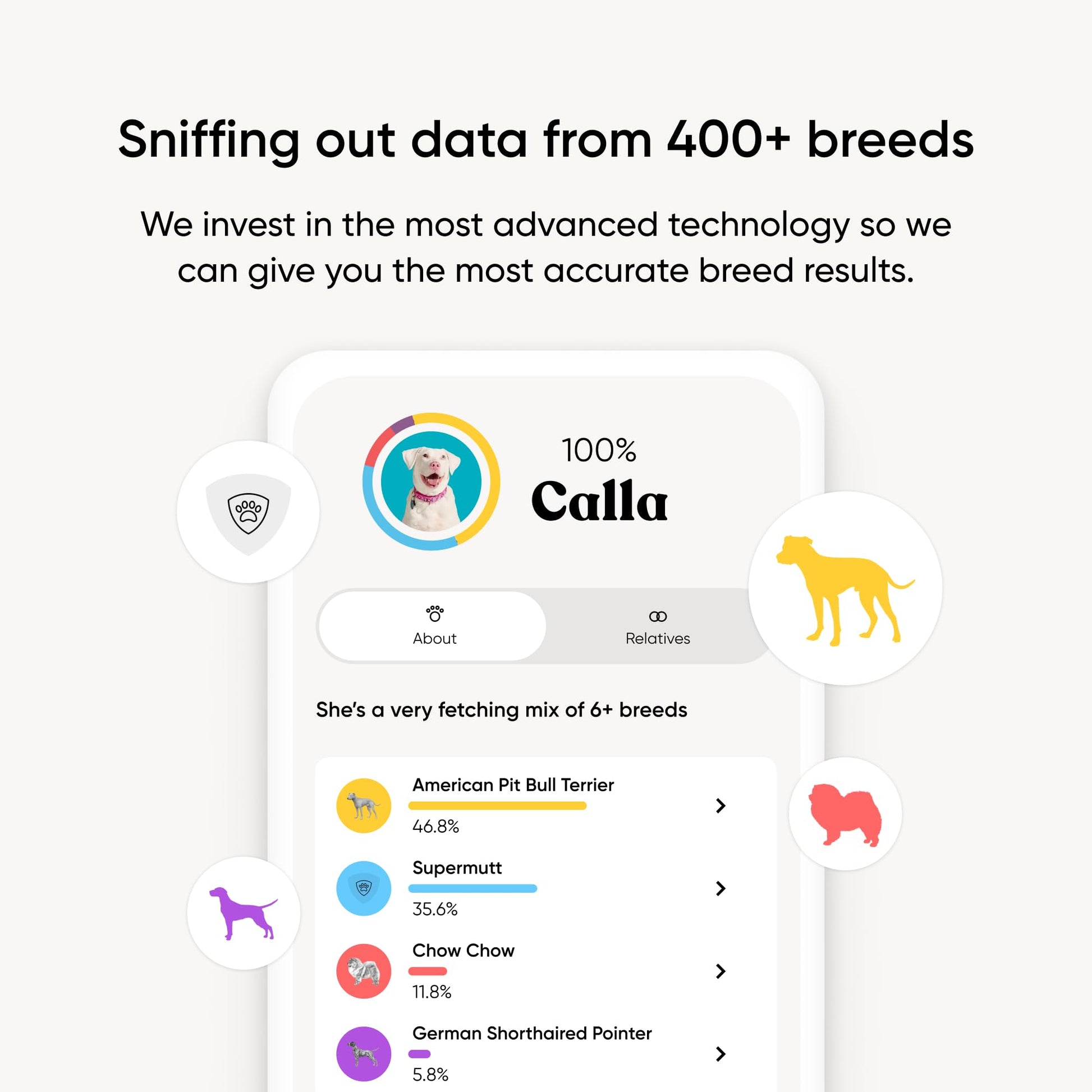 Embark Breed Identification Kit Most Accurate Dog DNA Test Test 350+ Dog Breeds Breed ID Kit with Ancestry & Family Tree - Available at All In One Marketplace Canada