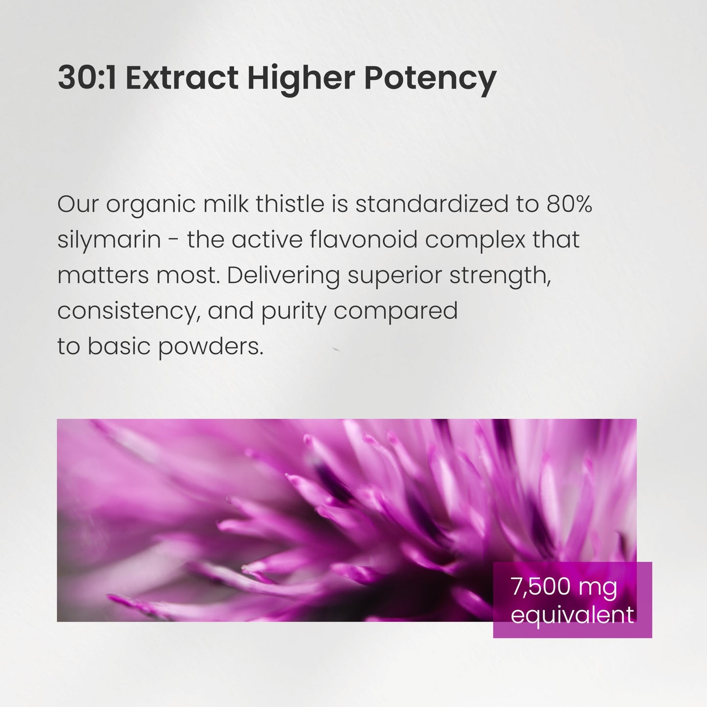 Milk Thistle Capsules – High Potency 30:1 Extract (7,500 mg Equivalent) with 80% Silymarin – Premium Liver Support Supplement for Healthy Flush & Detox – Vegan, Non-GMO – 180 Count - Available at All In One Marketplace Canada
