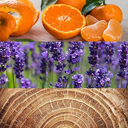 Calvin Klein Obsession Eau de Toilette Deodorant Stick for Men 75g - Ambery Fragrance, Top notes: Bergamot, mandarin Calvin Klein