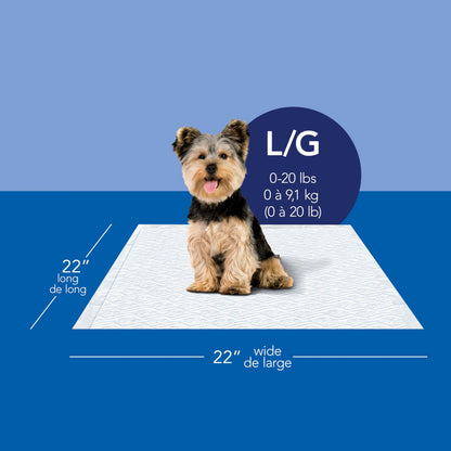 Scott Pet Guard Dog Pads, 12 Hour Odor Control, Large, 22" x 22", 50-Pack Scott
