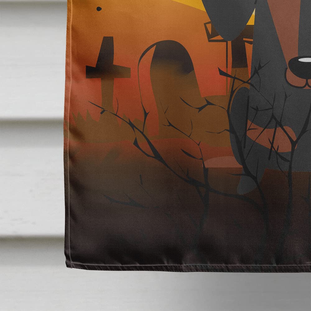 Drapeau de maison en toile Caroline's Treasures BB4398CHF motif teckel d'Halloween noir et feu, grand format, multicolore