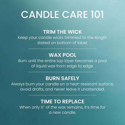 Yankee Candle Large Jar Scented Candle with up to 150 Hour Burn Time, Premium Plant Wax Blend for Cleaner Consistent Burn and Room Filling Fragrance, 22 oz, Bahama Breeze 🍁 All In One Marketplace Canada
