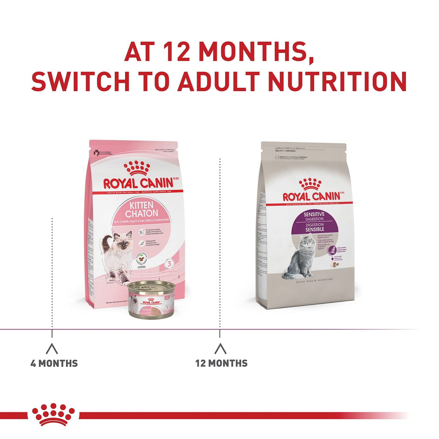 Royal Canin Feline Health Nutrition Sensitive Digestion Cat Food Dry Formula, Balanced Nutrition to Support Digestive Health, 7 lb Bag 🍁 All In One Marketplace Canada