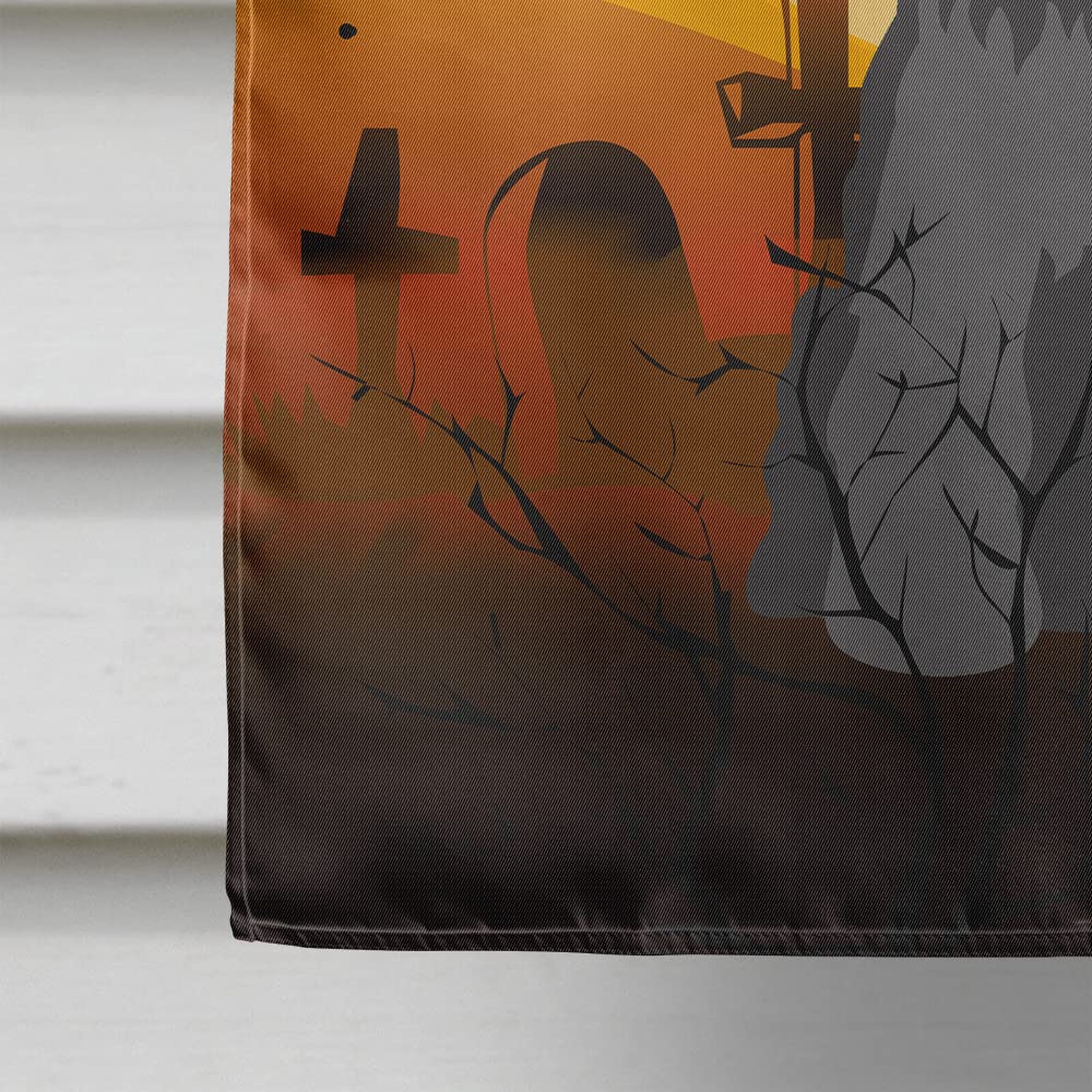 Caroline's Treasures BB4317CHF Halloween Miniature Schanuzer Black Flag Canvas House Size, Large, Multicolor