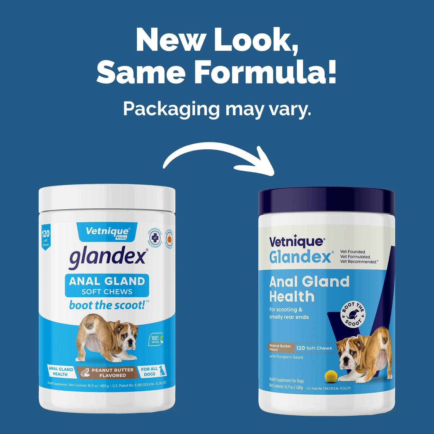 Glandex Anal Gland Soft Chew Treats with Pumpkin for Dogs Chews with Digestive Enzymes, Probiotics Fiber Supplement for Dogs – Vet Recommended - Boot The Scoot (Peanut Butter, 120ct Chews)