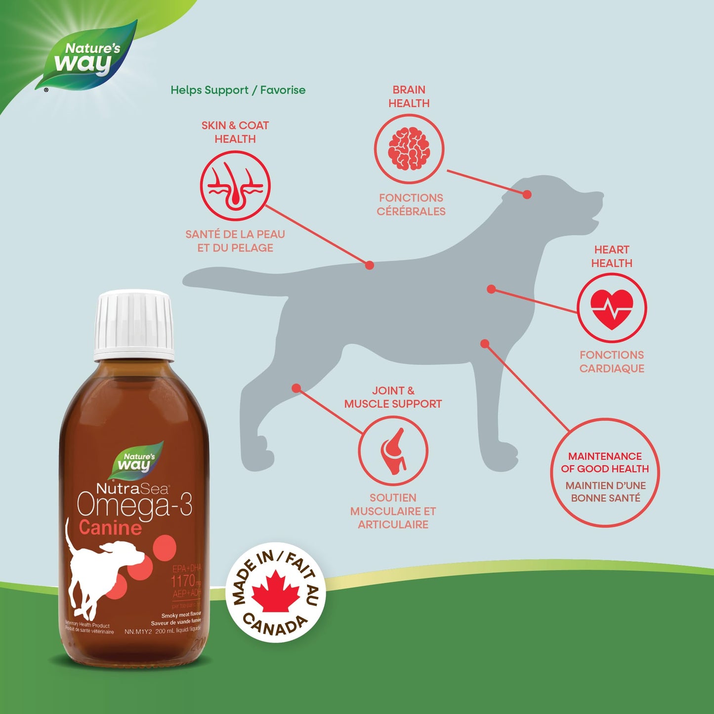 Nature’s Way NutraSea Omega-3 Canine Supplement for Dogs – Helps Support Dogs’ Skin, Coat, Muscles, Joints, Heart & Brain – 1170 mg of EPA + DHA – Smoky Meat Flavour, 200 mL 🍁 All In One Marketplace Canada
