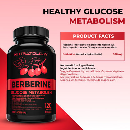 Nutratology® Berberine Supplement | Canadian-Made | Max Potency 500MG Per Capsule - Supports Glucose Metabolism & Healthy Blood Sugar Levels Through Efficient Metabolism Of Sugar & Fats - 120 Capsules - Available at All In One Marketplace Canada