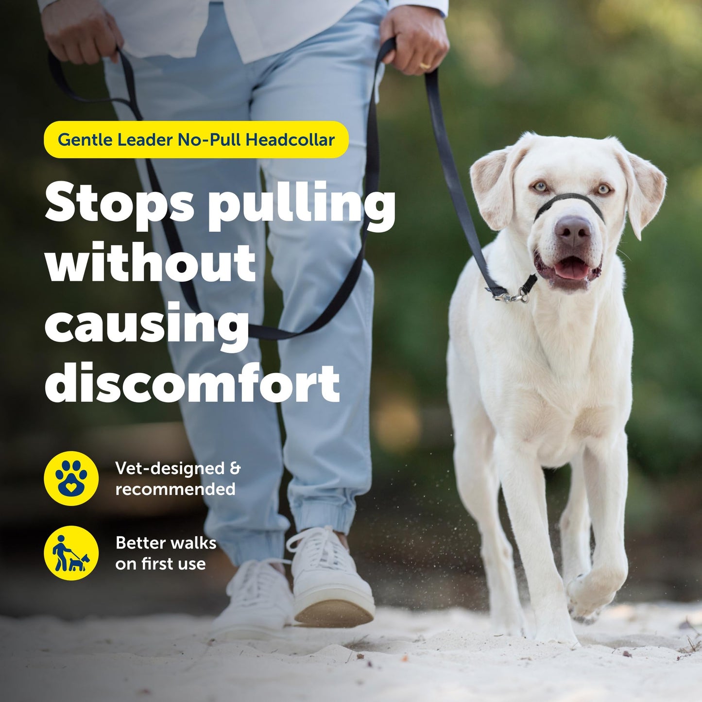 PetSafe Gentle Leader No-Pull Dog Headcollar - The Ultimate Solution to Pulling - Redirects Your Dog's Pulling for Easier Walks - Helps You Regain Control - Large, Charcoal 🍁 All In One Marketplace Canada