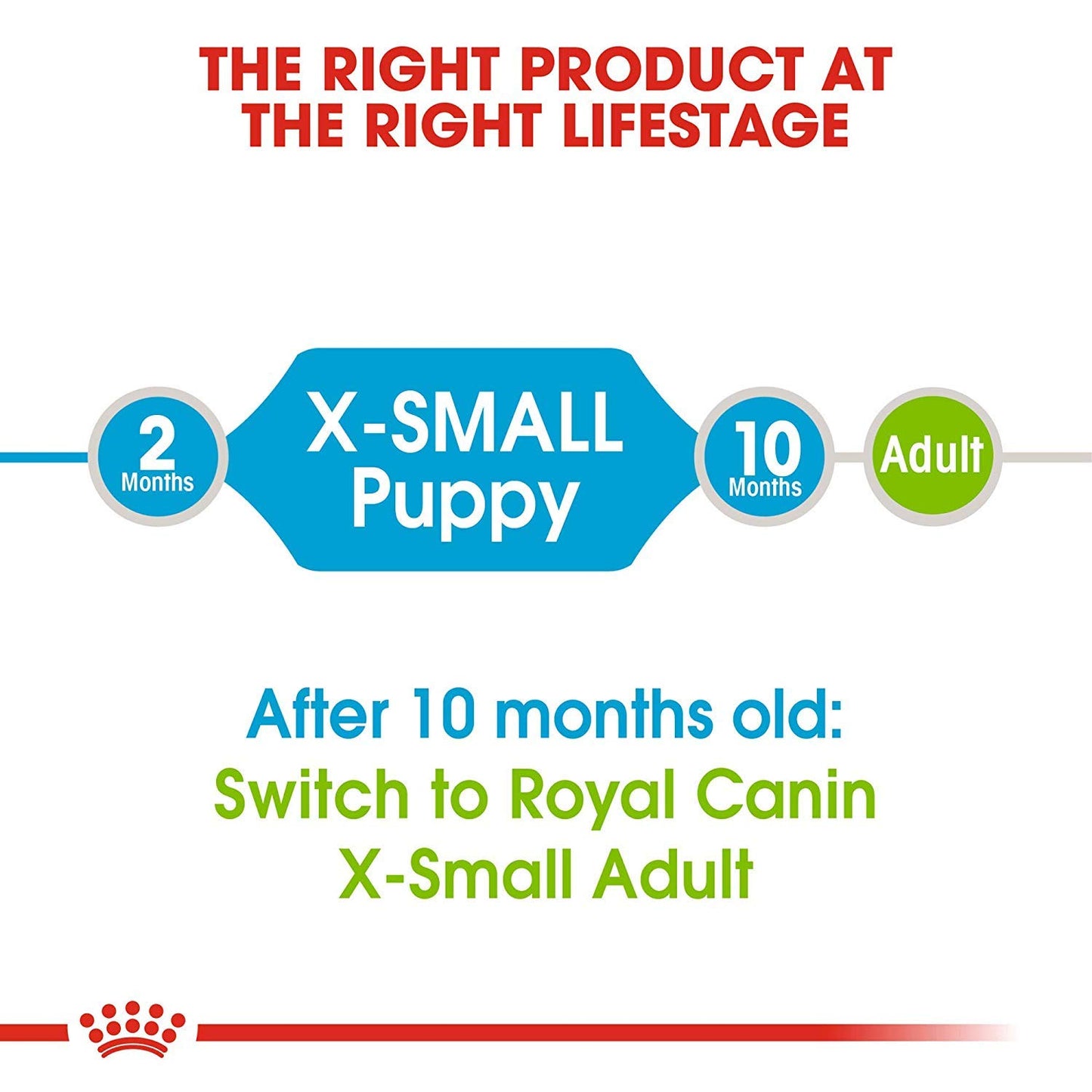 Royal Canin Size Health Nutrition X-Small Breed Dry Puppy Food, Supports Brain Development, Immune Support and Digestive Health, 3 lb Bag ROYAL CANIN
