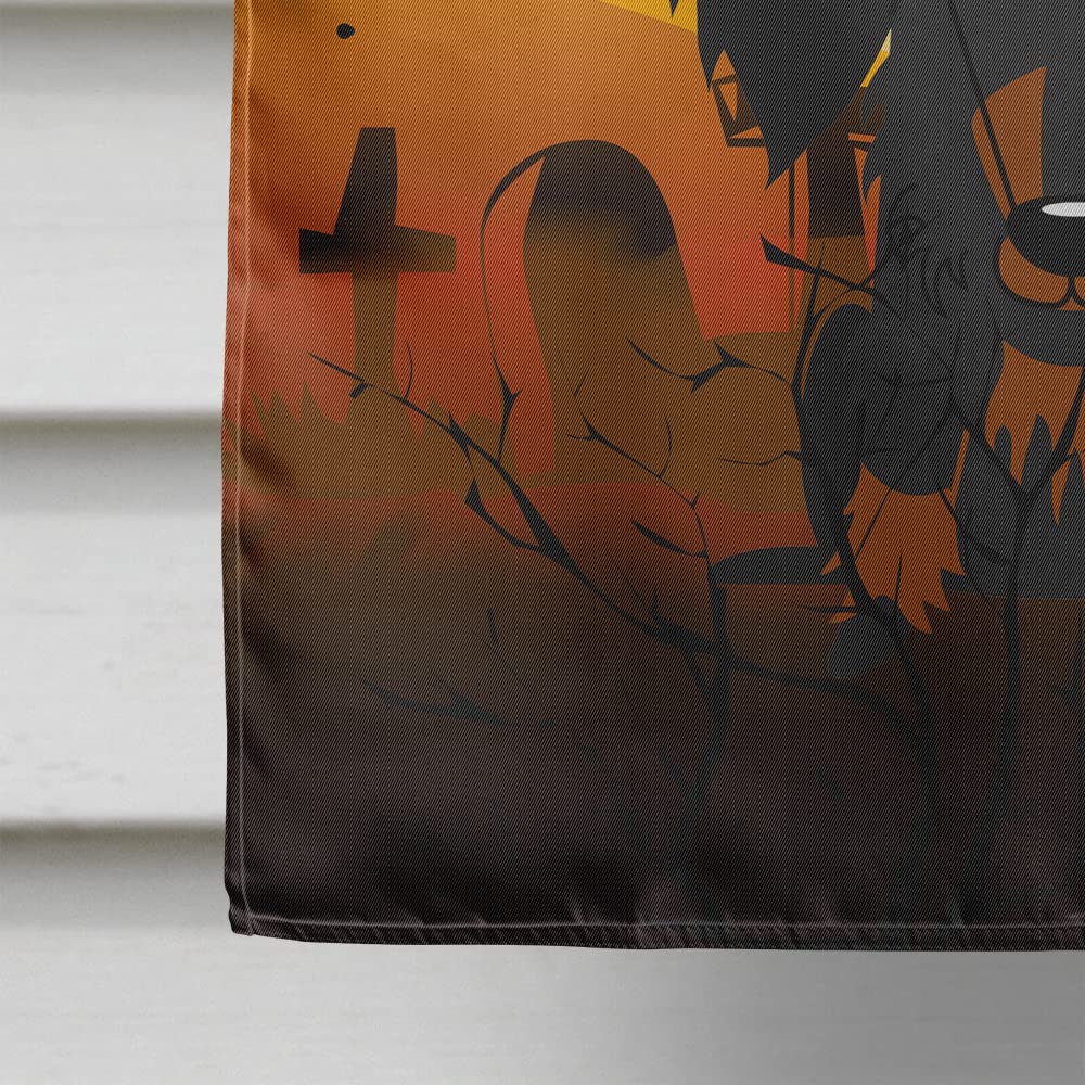 Drapeau de maison en toile Caroline's Treasures BB4393CHF, motif teckel à poil dur Halloween, noir et feu, grande taille, multicolore