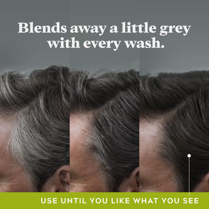 Just For Men Control GX Grey Reducing Shampoo, Gradual Hair Color for Men, Stronger and Healthier Hair, 118ml - Pack of 3 🍁 All In One Marketplace Canada