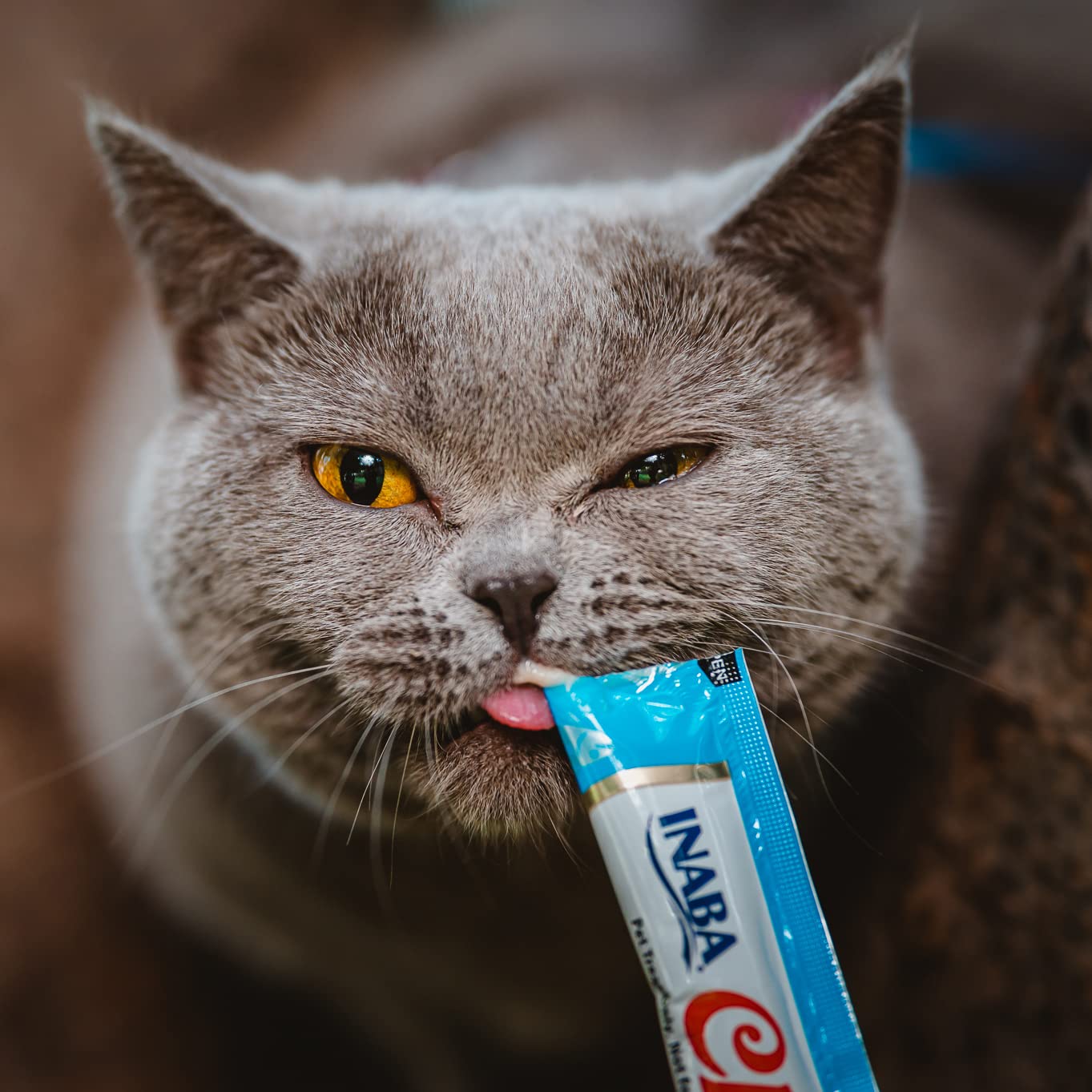 INABA Churu Cat Treats, Lickable, Squeezable Creamy Purée Cat Treat with Green Tea Extract & Taurine, 14 Grams Each Tube, 24 Tubes (4 per Pack), Chicken Recipe 🍁 All In One Marketplace Canada