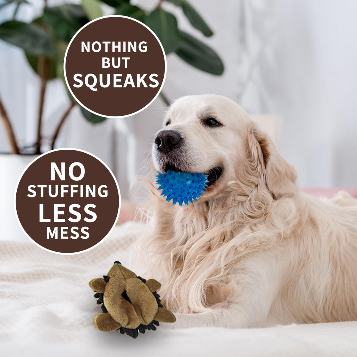 2-in-1 No-Stuffing Hedgehog Dog Toys 3 PCS, Squeaky Ball for Throwing Play 🍁 All In One Marketplace Canada