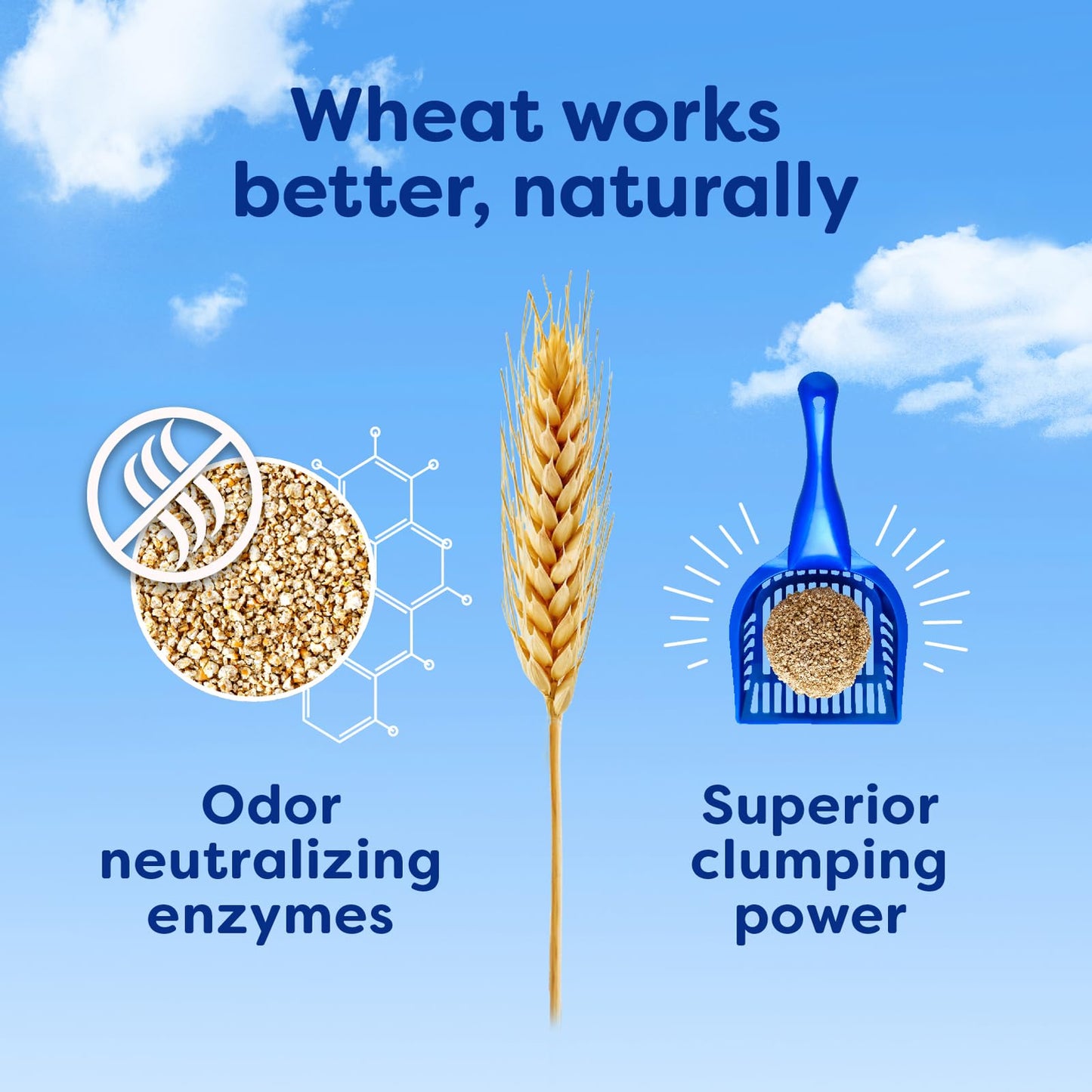 sWheat Scoop Natural Wheat Multi-Cat Litter, Superior Clumping with Odor Neutralizing Enzymes, 25 Pound Bag sWheat Scoop