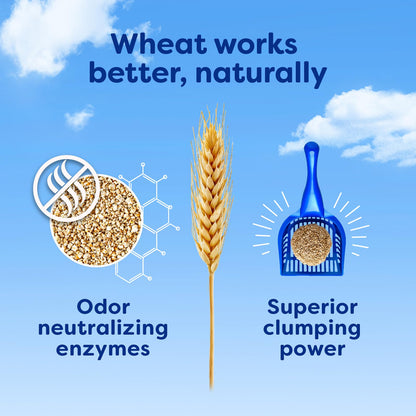 sWheat Scoop Natural Wheat Multi-Cat Litter, Superior Clumping with Odor Neutralizing Enzymes, 25 Pound Bag sWheat Scoop