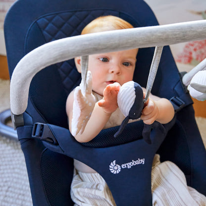 Ergobaby Evolve 3-in-1 Bouncer Toy Bar Accessory