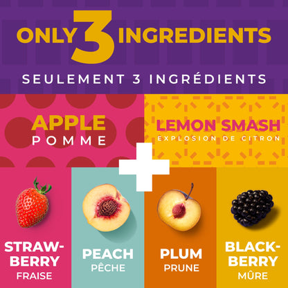 Zest Delites Fruit Leather Variety Pack - 36 Individual Servings (25g each) | Strawberry, Blackberry, Peach & Plum | Gluten-Free Vegan Dried Fruit Snacks