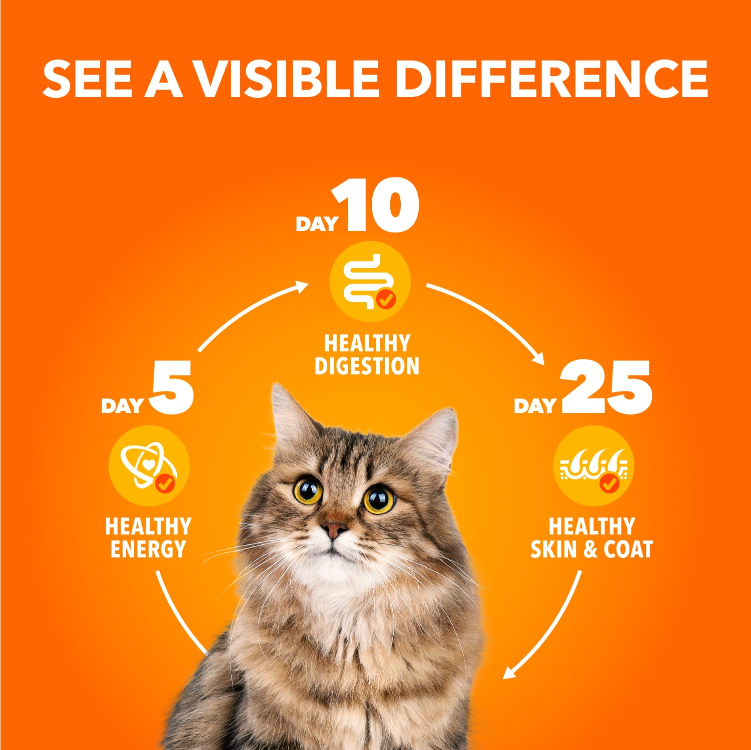 IAMS Perfect PORTIONS Adult Wet Cat Food, Chicken Flavour, 75g (24 Pack) IAMS