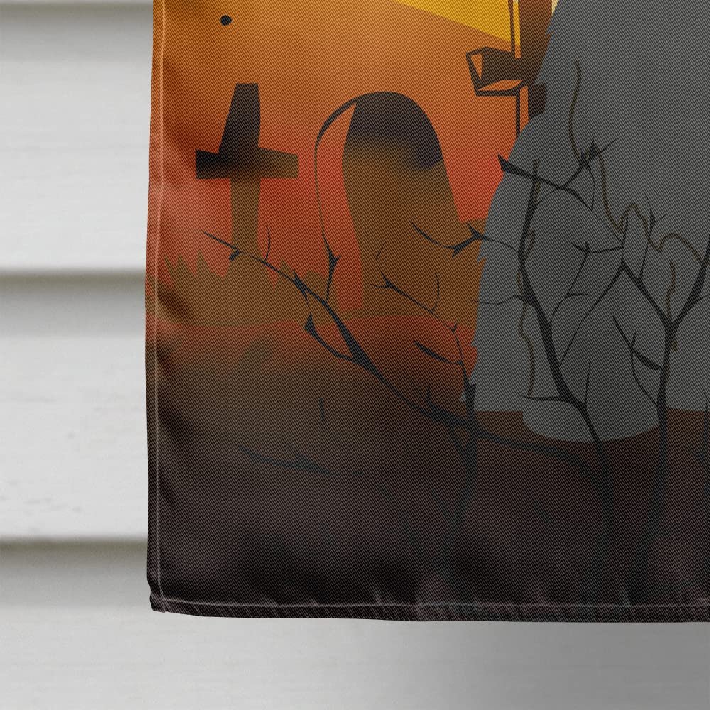 Caroline's Treasures BB4347CHF Halloween Briard Black Flag Canvas House Size, Large, Multicolor