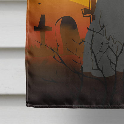 Caroline's Treasures BB4347CHF Halloween Briard Black Flag Canvas House Size, Large, Multicolor