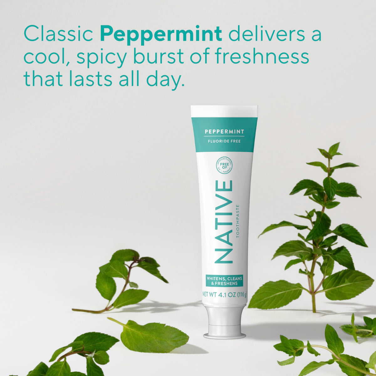 Native Fluoride Free Toothpaste, Peppermint Flavor, 90mL 3 Pack 🍁 All In One Marketplace Canada