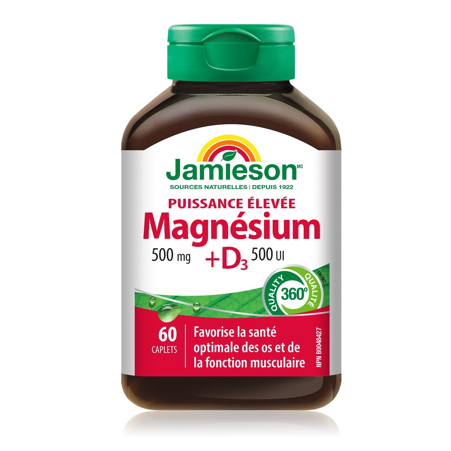 Jamieson High Potency Magnesium 500 mg with Vitamin D3 500 IU, High Absorption, 5 Magnesium Sources, Supports Bone Health and Muscle Function. Vegetarian, Non-GMO, Gluten-Free, 60 Caplets, Proudly Canadian - Available at All In One Marketplace Canada