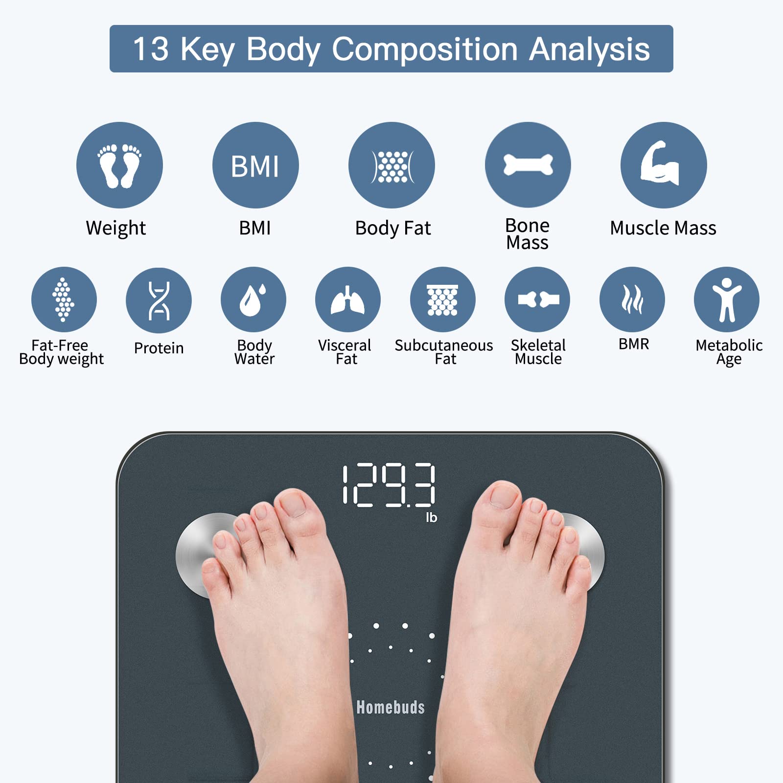 Homebuds Digital Bathroom Scale for Body Weight and Body Fat, Weighing Professional Since 2001, Body Composition Monitor Professional for BMI Fat Water Muscle with App, 400lb, Blue - Available at All In One Marketplace Canada