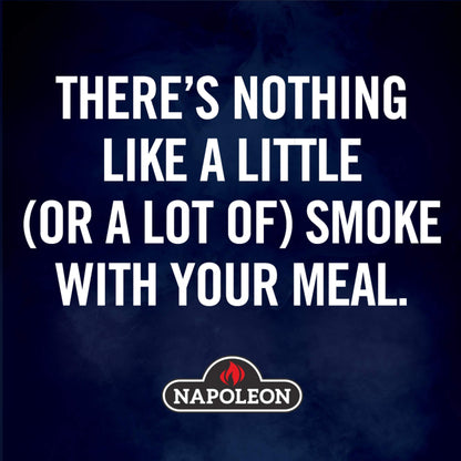 Napoleon 56080 Cast Iron Griddle for TravelQ Series Small
