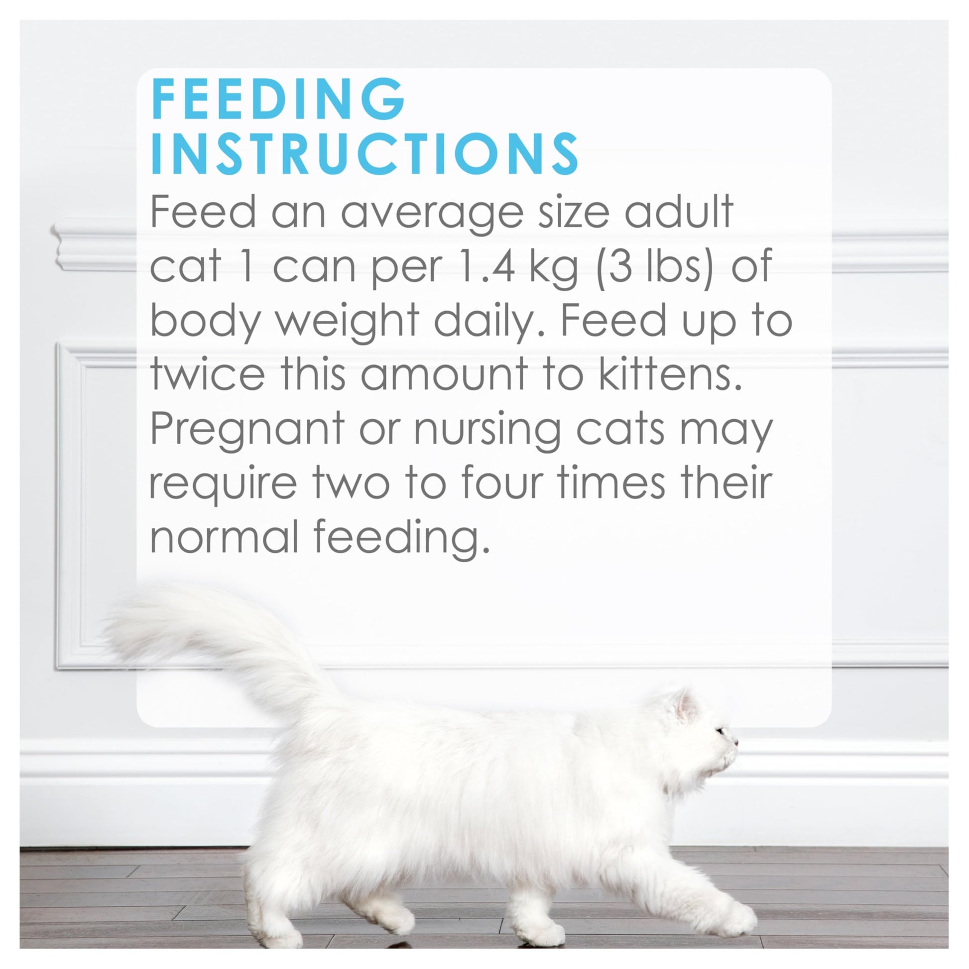 Fancy Feast Grilled Wet Cat Food, Whitefish & Tuna Feast in Gravy - 85 g Can (24 Pack) 🍁 All In One Marketplace Canada Fancy Feast