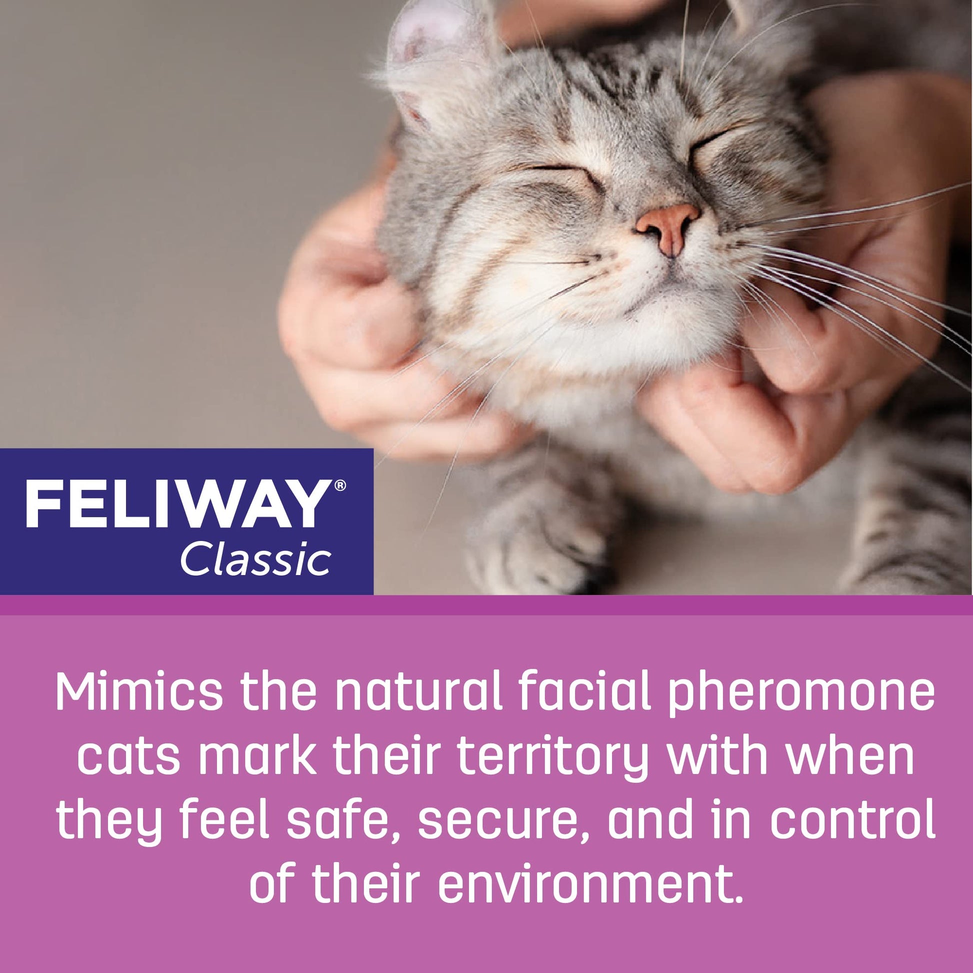FELIWAY Classic Starter Kit, Promotes Calmness in Cats & Kittens, VHP Registered NN.P4B8, includes 1 Diffuser and 1 Refill, Lasts 30 Days, Cat Calming Pheromones, 48ml - Available at All In One Marketplace Canada