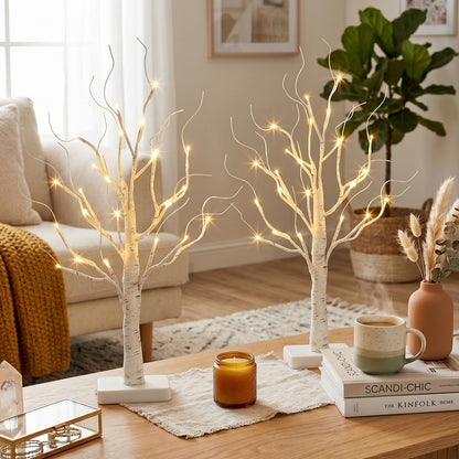 PEIDUO Birch Tree for Christmas Decorations with Timer, Lighted Birch Tree Prelit Fall Decor with 24 LED Warm White Lights, Artificial Tree Lights for Indoor Tabletop Christmas Home Decor (2PK) 🍁 All In One Marketplace Canada