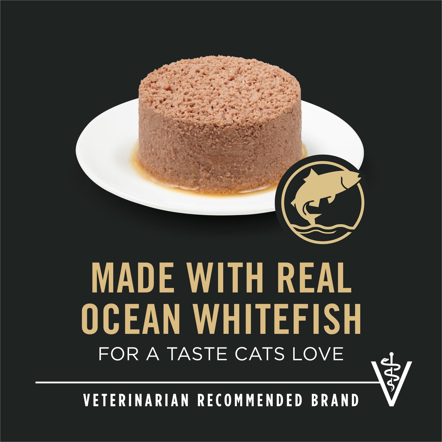 Purina Pro Plan Focus Adult Urinary Tract Health Formula Ocean Whitefish Entree Cat Food (24 Pack), 3 oz 🍁 All In One Marketplace Canada